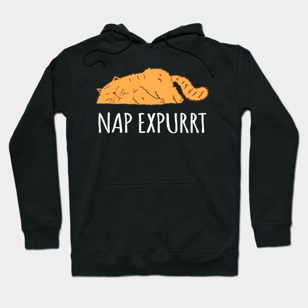 Nap Expert Hoodie by sqwear